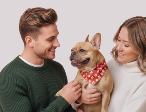 Zwierzęta są częścią naszej rodziny